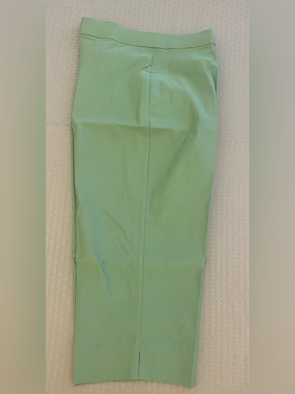 Alfred Dunner Mint Green Ponte Straight-Leg Capris